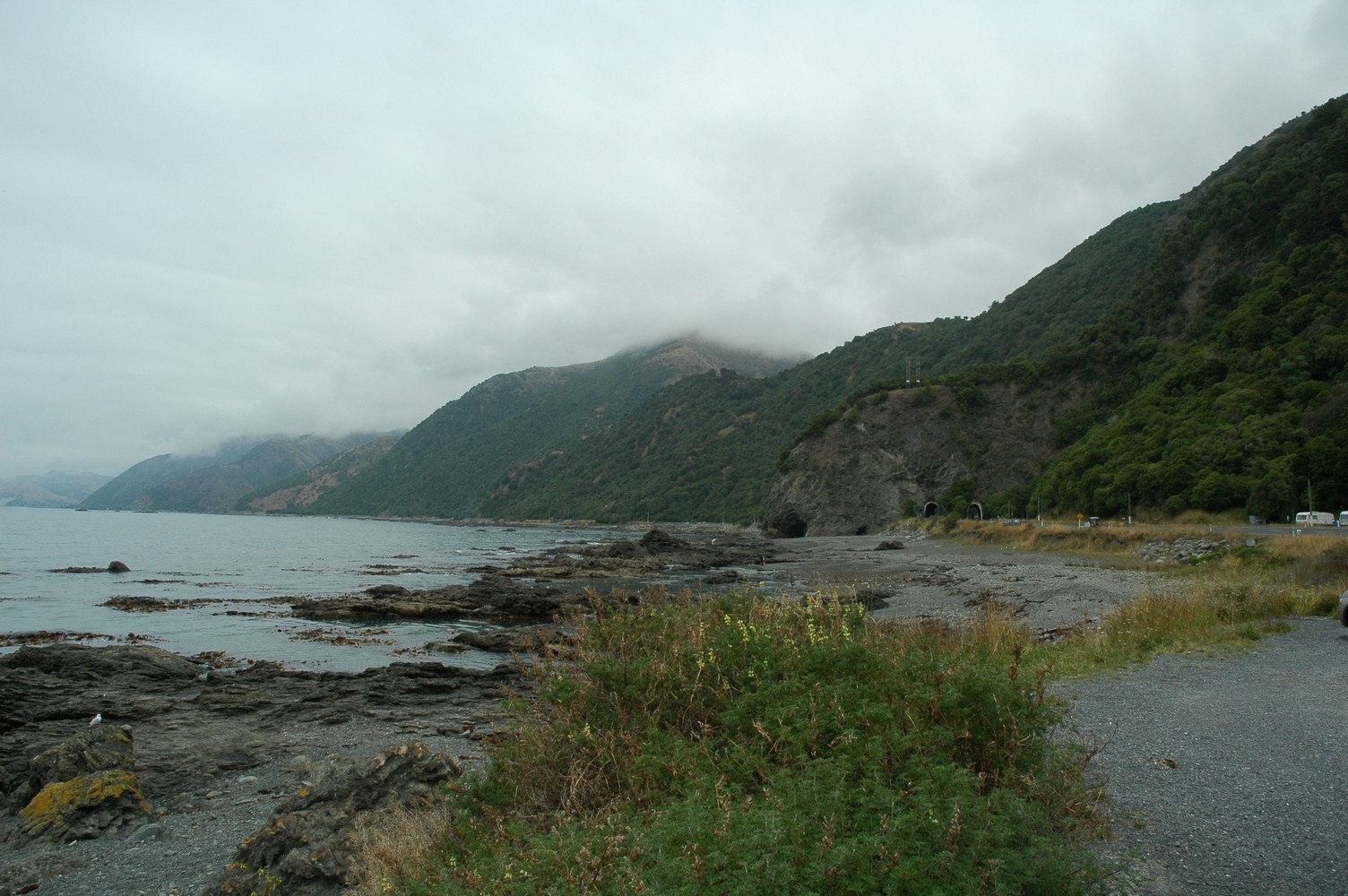 173   29 01   Kaikoura